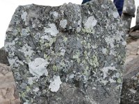 DSC 0141  摩利支天