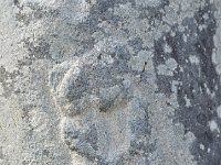 上小曽部中村４