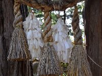 八坂神社陰陽石８