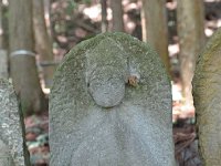 坂井村追沢阿弥陀堂