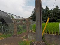 P8120665  平安時代末から鎌倉時代初頭頃