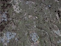 P8120710  地蔵菩薩　南北朝