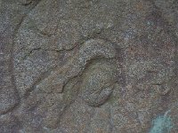 P8120721  文殊菩薩　南北朝