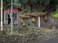 ２下来伝の大杉