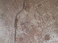 P9021594  勢至菩薩