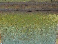 P9021582  観音菩薩