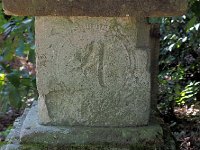 P9021557  観音菩薩