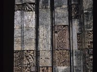 RATNAG038  木に登る人gelbai