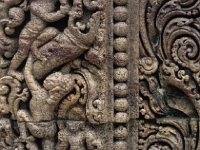 RATNAG048  木に登る人gelbai