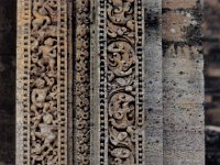 RATNAG084  木に登る人gelbai