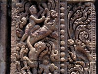 RATNAG166  木に登る人gelbai