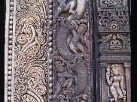 UDAYAG022  木に登る人gelbai