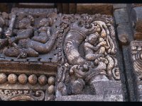 UDAYAG024  木に登る人gelbai