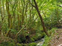 水谷峠の磨崖仏