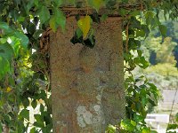 小河内（岩中寺跡）