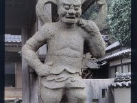 清台寺002