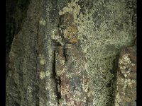 ホキ1010  大日五尊