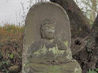 P1011049  阿弥陀如来