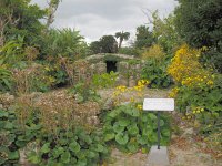 P2110225  首里遥拝所