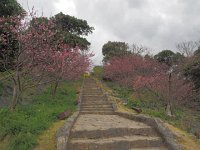 P2102046  七五三の階段