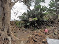 P2102050  城内下之御嶽（ソイツギ）