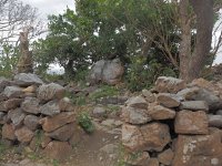 P2102061  城内上之御嶽（テンチジアマチジ）