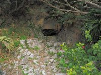 P2110086  ウシヌジガマ