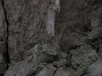 P2110333  シキヨダユルとアマダユルの壺