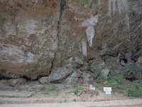 P2110334  シキヨダユルとアマダユルの壺