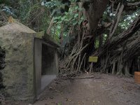 P2110017  シヌグ堂