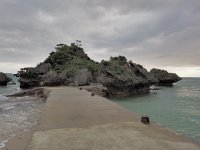 P2110024  アマミチュー