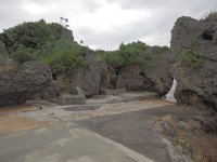 P2110025  アマミチュー