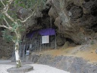 P2110046  シルミチュー