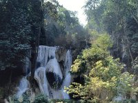 PHABANG021  Tat Kouang Si クワンシーの滝