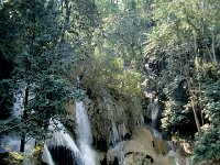 PHABANG022  Tat Kouang Si クワンシーの滝