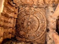 AA1 0617  天井サカナ