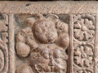 AA1 0645  ガナのお腹