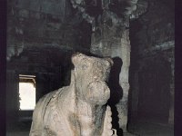 LAD027  ナンディ