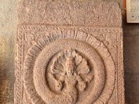 AA1 0290  ナーガ　7〜8