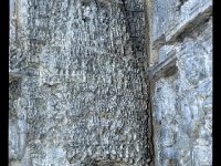 CHENNA054  カイラーサ山を揺さぶるラーヴァナ