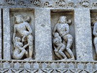 HOYSAL072  ミトゥナ