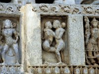 HOYSAL073  ミトゥナ