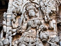 HOYSAL200  カーリー