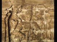 MATANGE013  ドゥパラパーラ