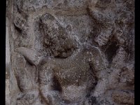 VAIKUN037  ナラシンハ