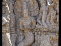 A'PENAN015  ナーガ