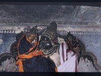 ADIVA013  ヴァラーハ