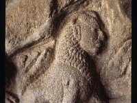 KRISHNAM014  グリフィン