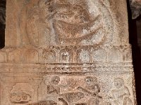 AA1 0550  メダリオンサルとワニ、下蛇とマングース、パンチャタントラ、