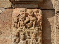 AA1 0668  アショカ樹のシーター